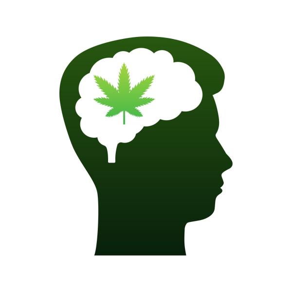 Cannabis im Kopf