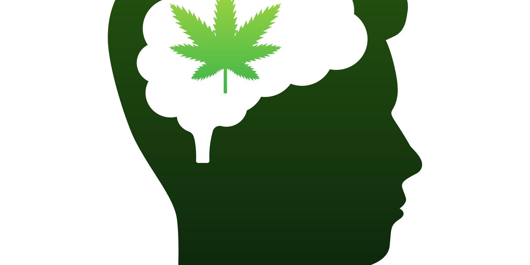 Cannabis im Kopf