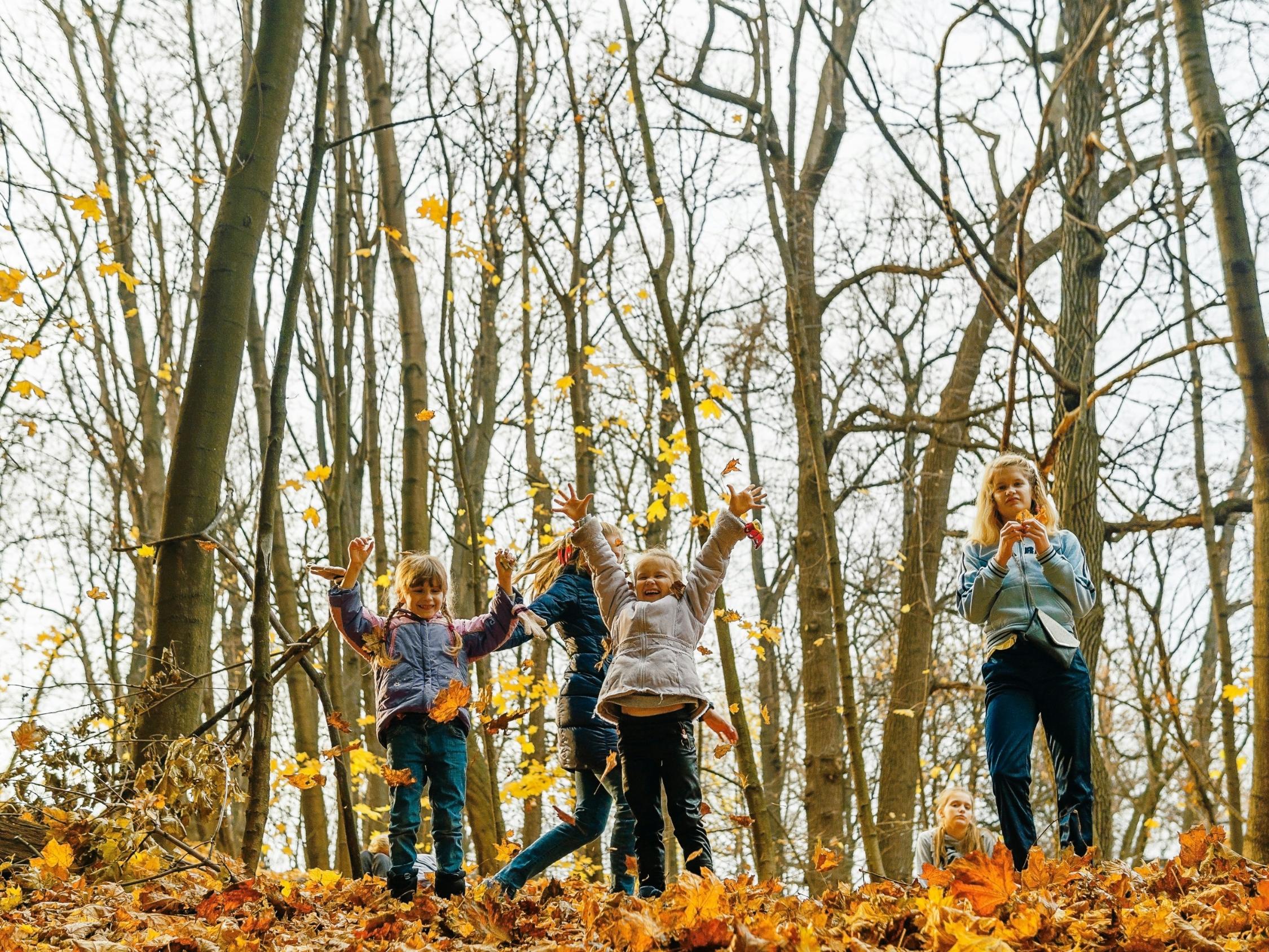 Elternmitwirkung - wir unterstützen Sie